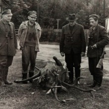 Łowy w Puszczy Białowieskiej