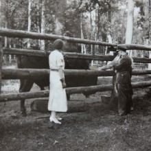 W zagrodzie żubrów